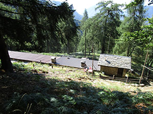 Mersc de Scimm