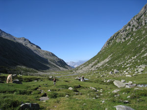 La parte centrale della Valle Adam