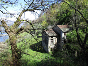 Una vecchia cascina