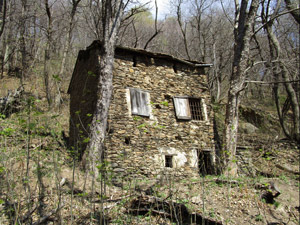 Una vecchia casa abbandonata e isolata nel bosco