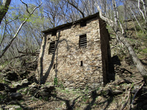 Vecchia casa abbandonata a Monte Basso di Camaggiore