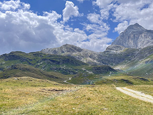 Panorama