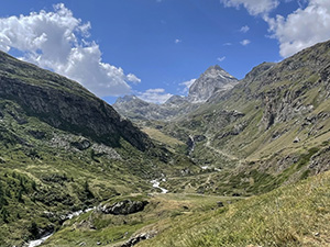 Panorama