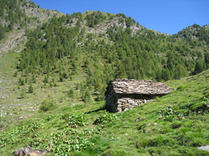 Baita a quota m. 1825