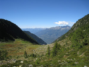Panorama in Val Vicima