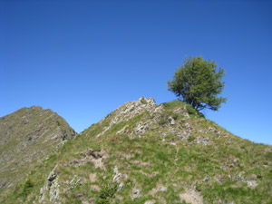 Il Pizzo di Presio dal Passo Vicima