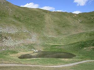 Il laghetto