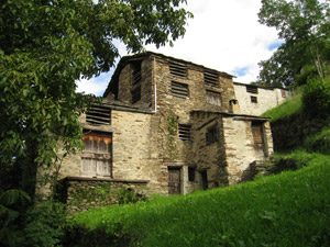 Gorla