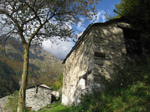 Gianel