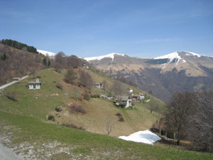 Pr Grasso
