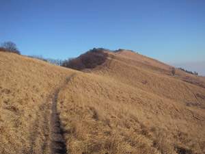 Il crinale ovest del Bolettone