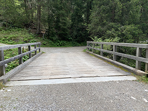 Il ponte sul Rio Calvo
