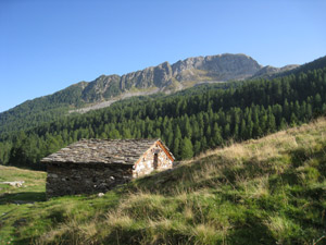 Alpe Pal di Torre