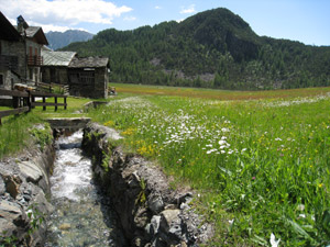 Alpe Lago di Chiesa