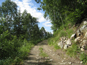 Pista tagliafuoco