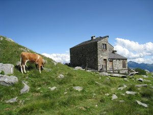 Il Baitone Alpe Visogno