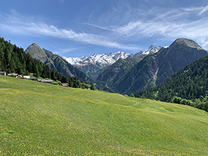 Panorama