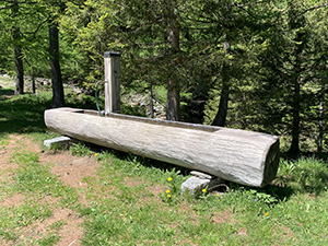 Fontana