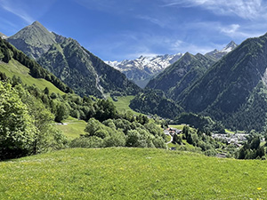 Panorama