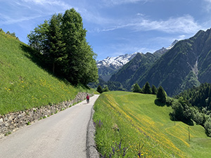 Sulla strada