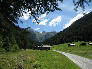 Lungo la sterrata