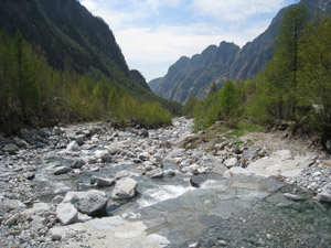 Il Torrente Codera