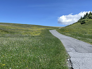 Ci rimettiamo in cammino