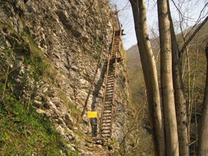 La Scala di Legno dal basso