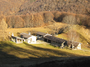 Alpe Lierna