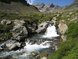 Il torrente