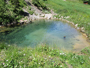 Pozza formata da un torrente, nei pressi del rifugio