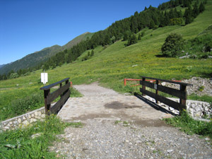 Ponte