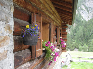 Il Rifugio Campo