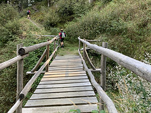 Ponticello di legno