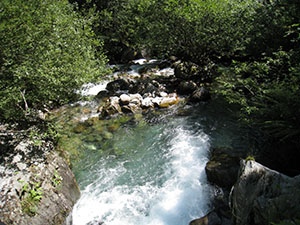 ... sul Torrente Campovecchio