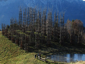 La Cattedrale Vegetale