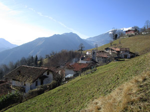 Avano
