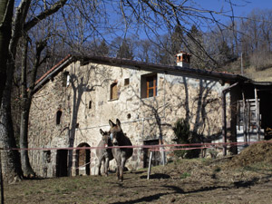 Cascina e asinelli