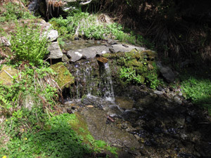 Guado ruscello