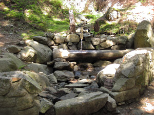 Fontana nel bosco