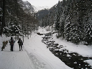 Nel bosco accanto al torrente