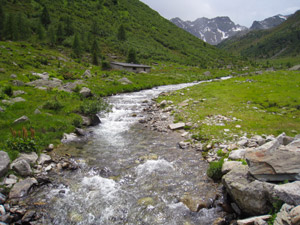 Il Rio di Valle Piana