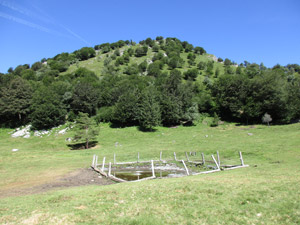 Zoca dei Cav