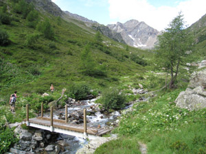Ponticello