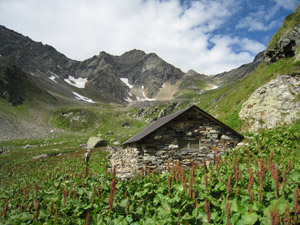 Alpe Forame