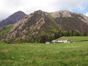 I prati di Baita Campo