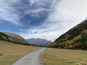 La strada asfaltata sul fondo della Val Federia