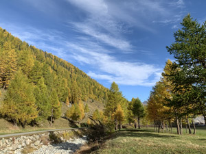 Secondo itinerario - Colori dˈautunno