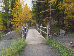 Ponte sul Torrente Federia