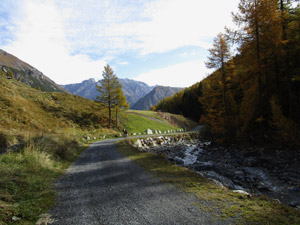 La sterrata e il torrente